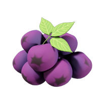 Beach Plum