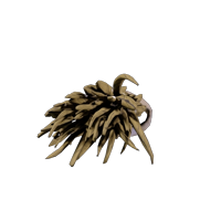 Kelp Twine