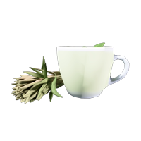 Mint Tea
