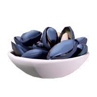 Salted Mussels