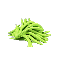 Samphire
